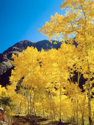 Rocky Mountain National Park calendar