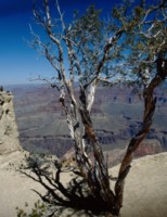 Grand Canyon National Park tote bag #Z1PH7670096