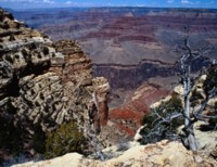 Grand Canyon National Park Tank Top #252653