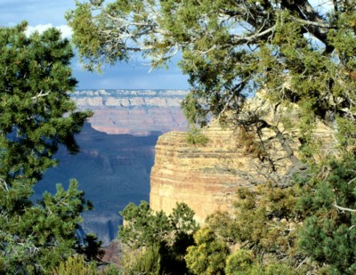 Grand Canyon National Park mug #Z1PH7670264