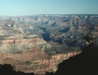 Grand Canyon National Park Tank Top #252662