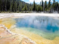 Yellowstone National Park Poster Z1PH7670804