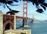 San Francisco hoodie #252189