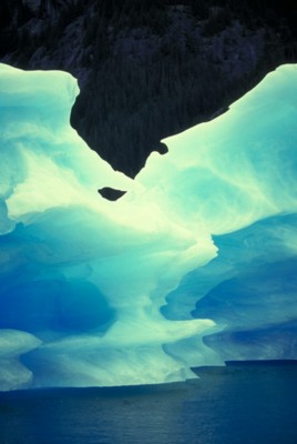 Icebergs poster