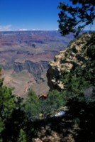 Grand Canyon National Park Tank Top #248406