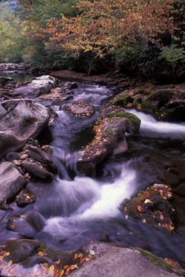 Great Smoky Mountains National Park Poster Z1PH7847127