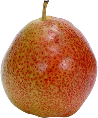 Pear calendar