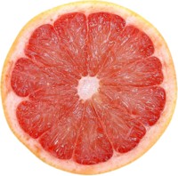Grapefruit Poster Z1PH8028001