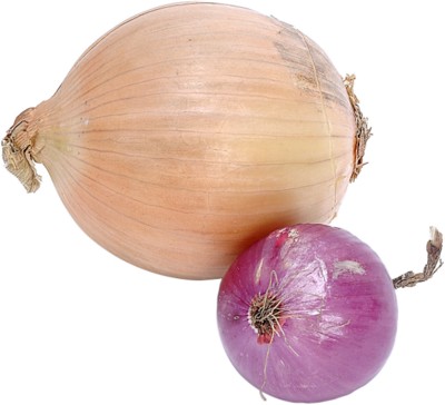 Onion Tank Top