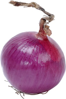 Onion poster