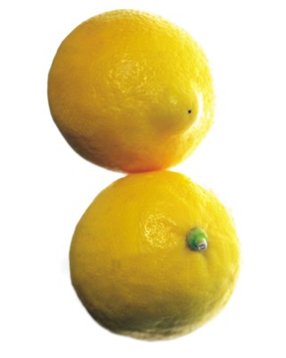 Lemon calendar