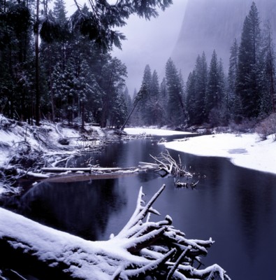 Yosemite National Park tote bag