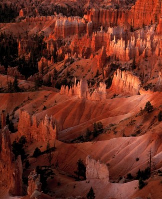 Bryce Canyon National Park poster