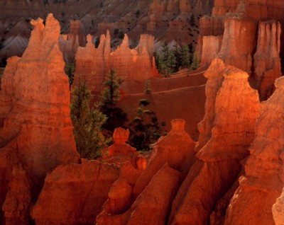 Bryce Canyon National Park poster