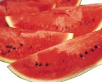 Watermelon Tank Top #248898