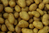 Potatoes Longsleeve T-shirt #248994
