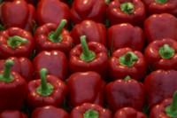 Peppers & Chiles Poster Z1PH9905625