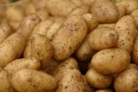 Potatoes Tank Top #248993