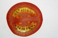 Tomato Tank Top #248916