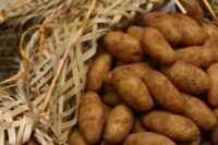 potatoes hoodie #248992