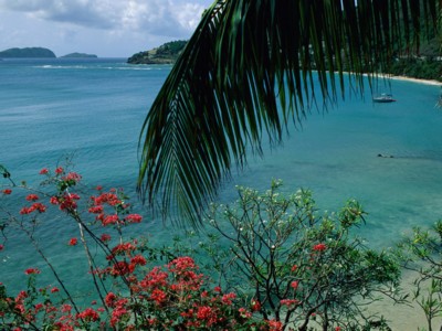 Tropical Islands calendar