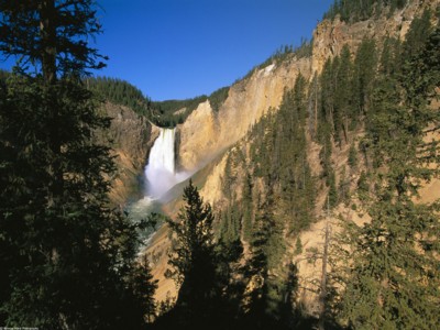 Yellowstone calendar
