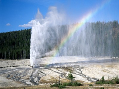 Yellowstone calendar