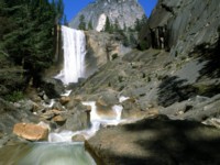 Yosemite hoodie #240764